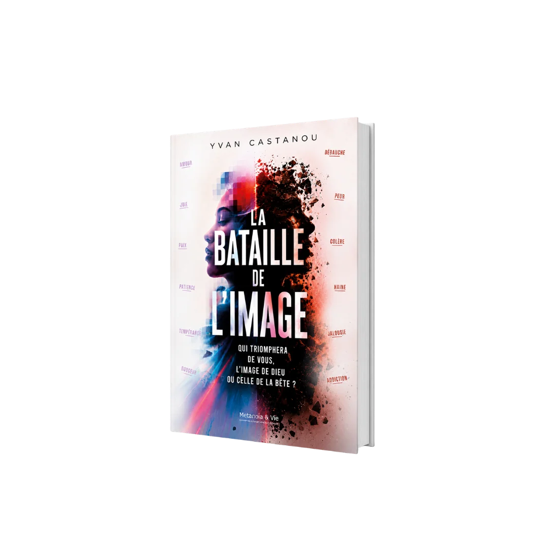 La bataille de l'image