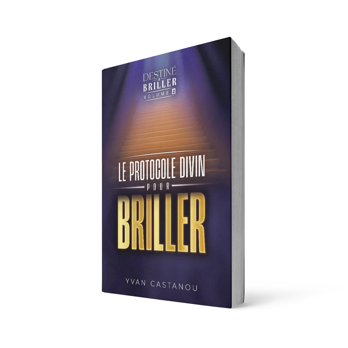 Destiné à briller volume 2 - Le protocole divin pour briller