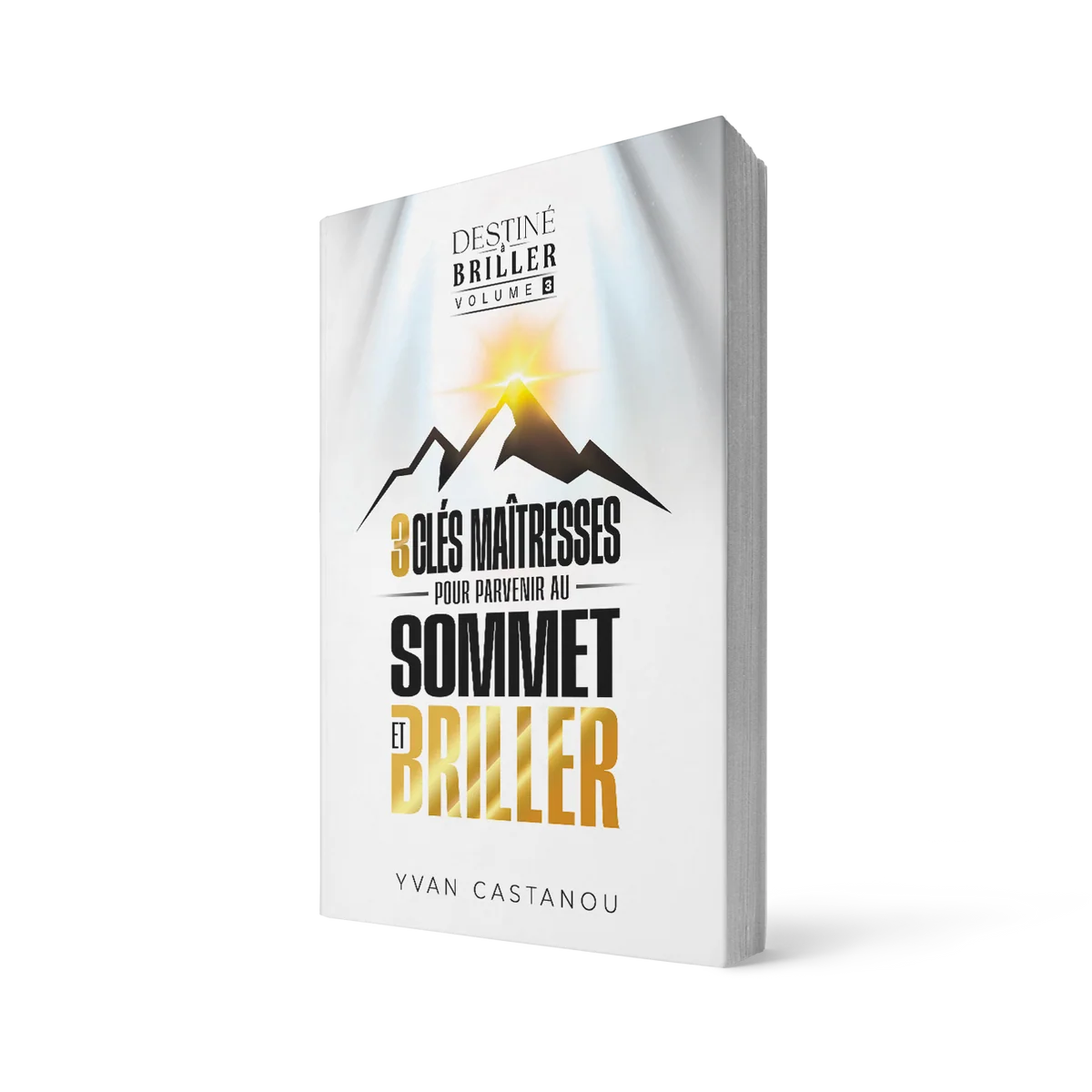 Destiné à briller volume 3 - 3 clés maitresses pour parvenir au sommet et briller